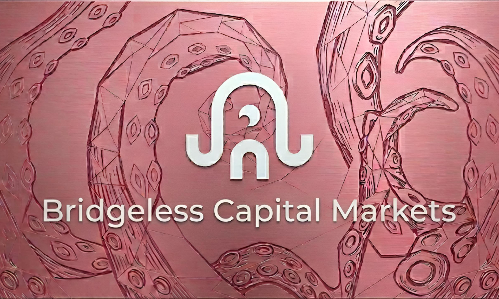 Ika登陆Solana：无桥资本生态开启新篇章