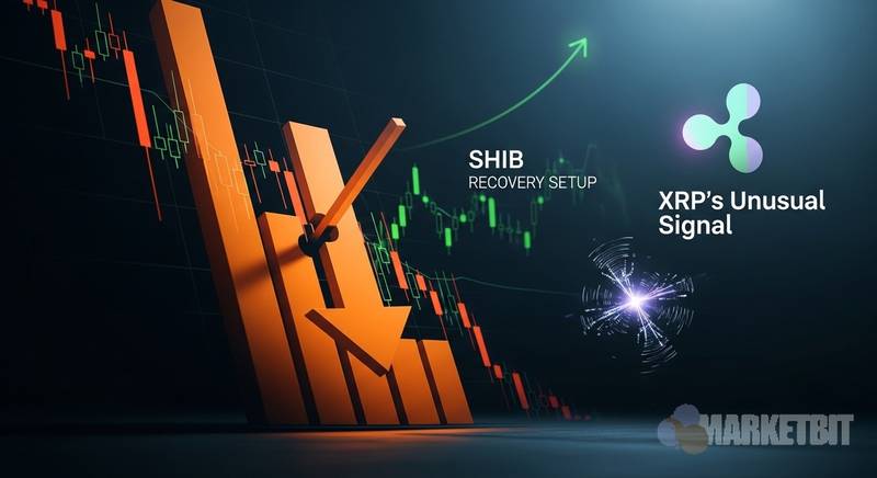 比特币七万美元保卫战：柴犬币反弹瑞波币异动